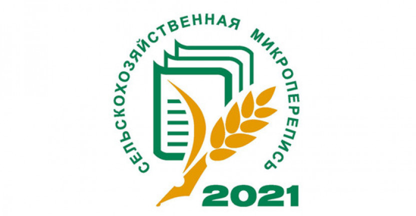 О заседании комиссии по проведению на территории Пермского края сельскохозяйственной микропереписи 2021 года