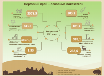 Пермь инфографика. Инфографика 2021. Пермь инфографика основные показатели. Инфографика по Перми.